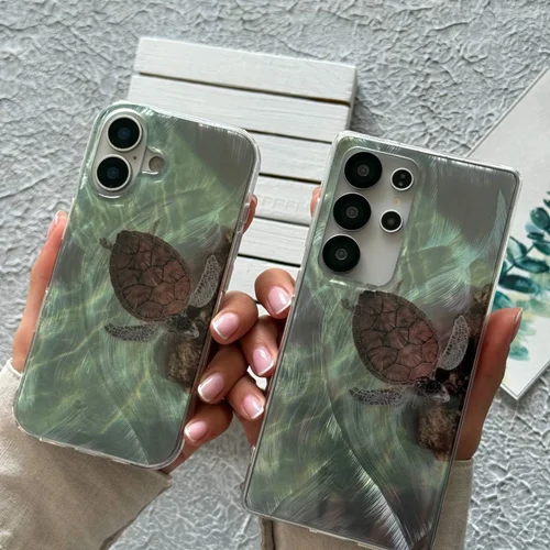 قاب صدفی لاک پشت تنهاC006514